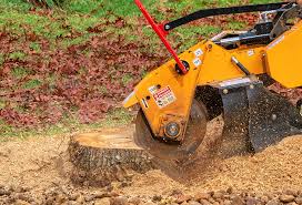 Best Lawn Renovation and Restoration  in New Hampton, IA