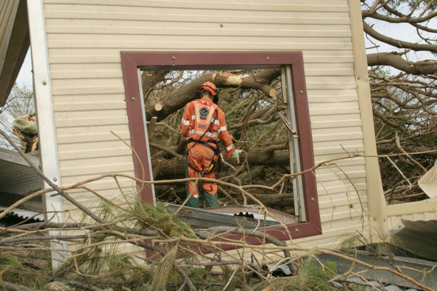 Best Commercial Tree Services  in New Hampton, IA